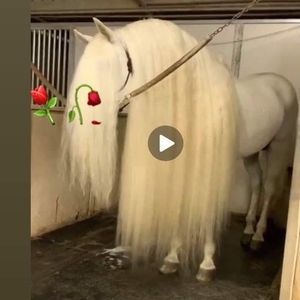 Meet your Posher, Edgar